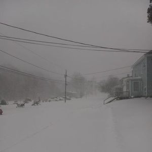 Meet your Posher, Ronald